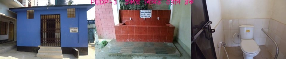 পিডিপি-৩ প্রকল্পের আওতায় ওয়াশব্লক