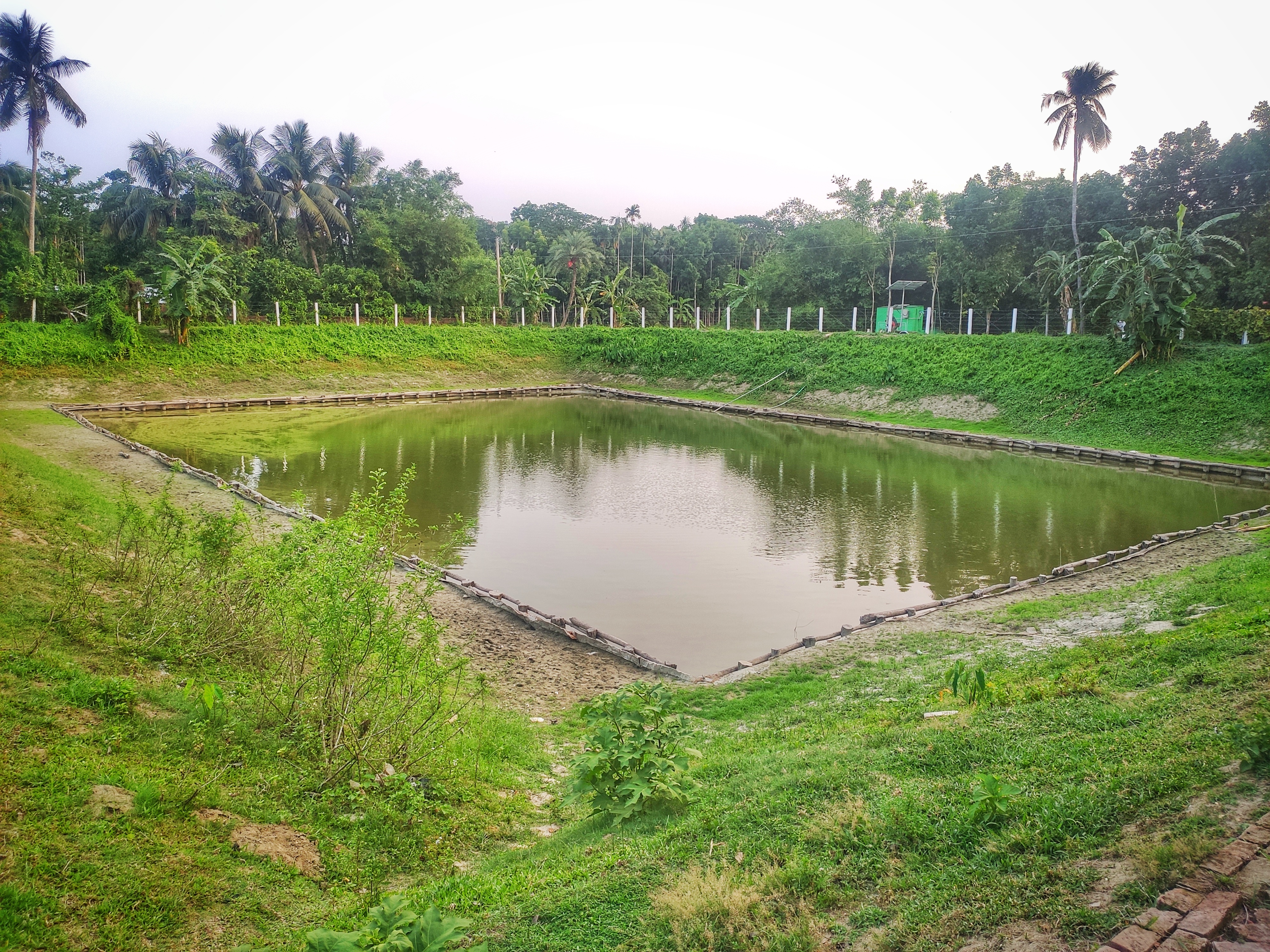 পুকুর পুনঃখনন