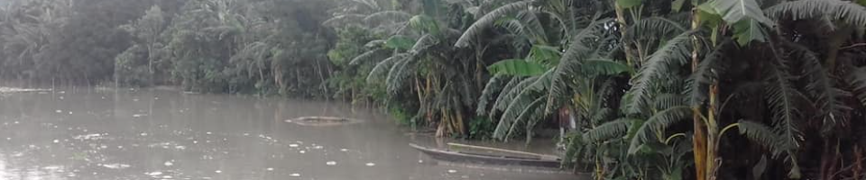 বন্যা-2020