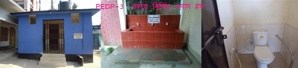 PEDP-3 প্রকল্পে নির্মিত ওয়াশব্লক