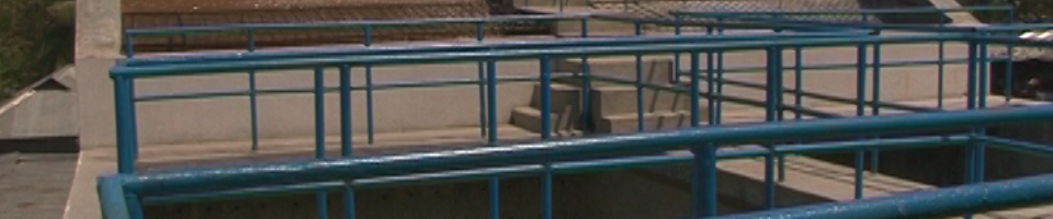 ব্যানার