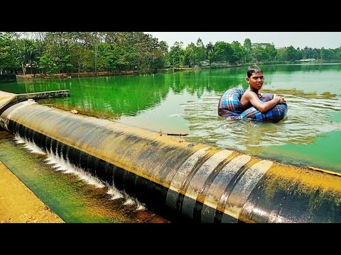 নালিতাবাড়ী