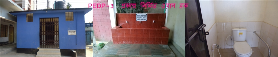 প্রাথমিক বিদ্যালয়ে নির্মিত ওয়াশ বক্ল