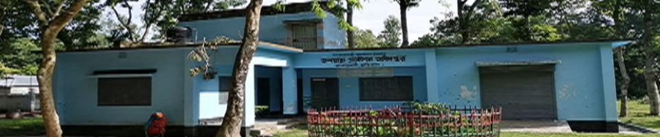 অফিস ভবন