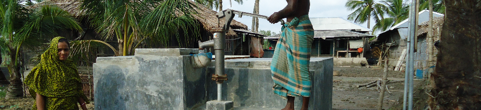 পুকুর ফিল্টার