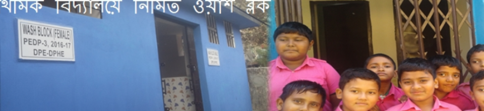 প্রাইমারী ওয়াশব্লক