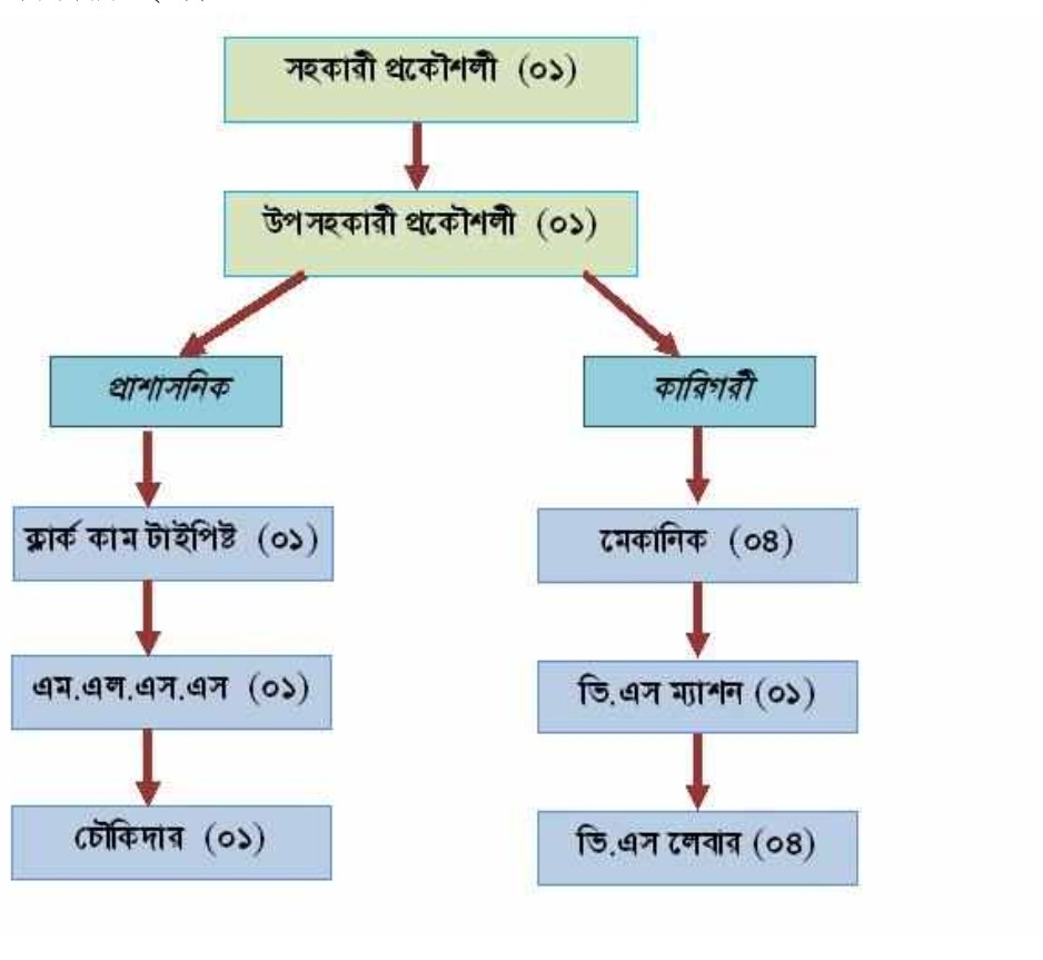 সাংগঠনিক কাঠামো