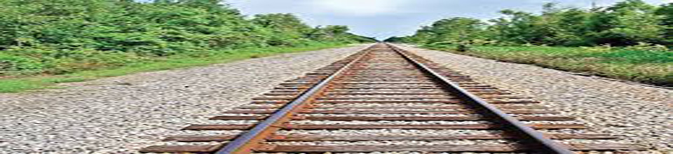 ব্যানার২