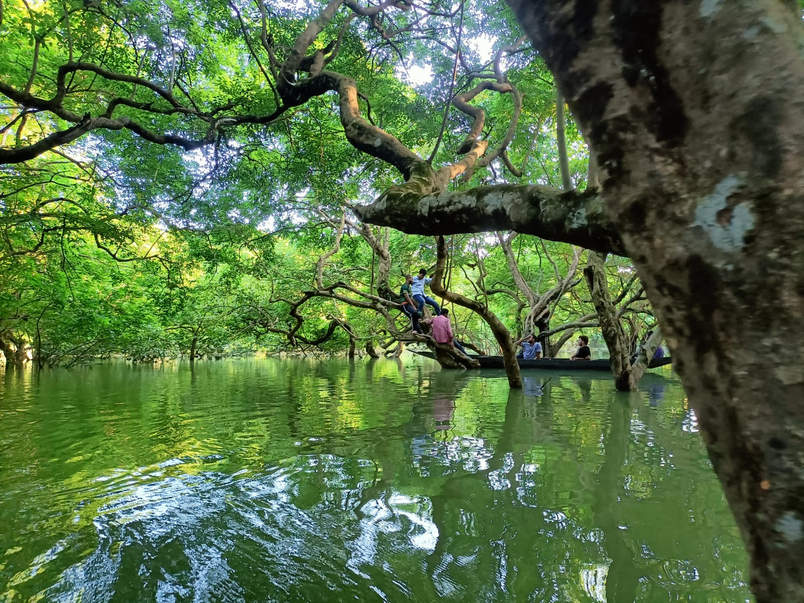 রাতারগুল, সিলেট।