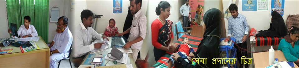 সেবা প্রদানের চিত্র