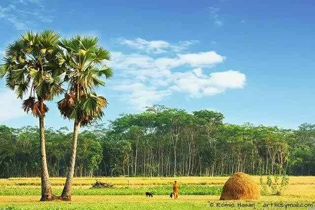 গ্রাম বাংলার দৃশ্য