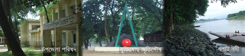 কোম্পানীগঞ্জ