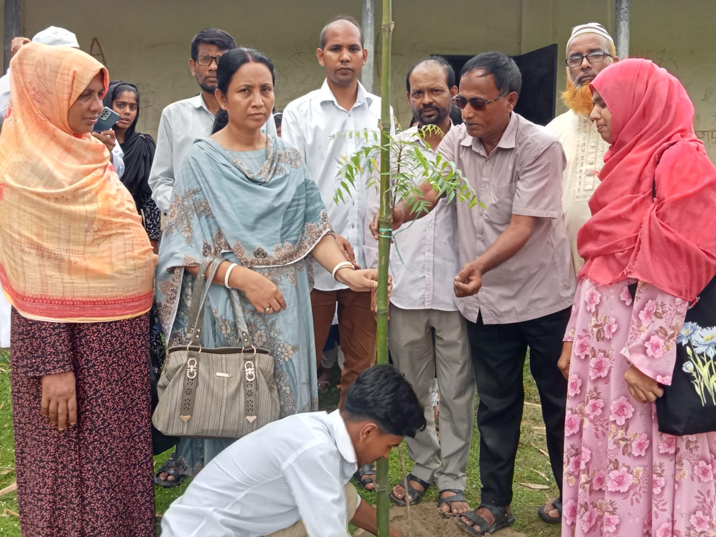 বৃক্ষরোপন কর্মসূচি