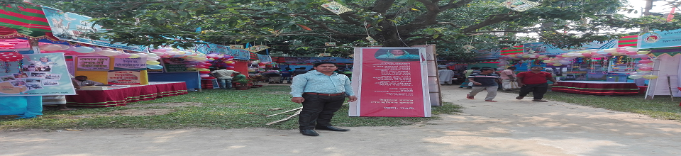 উন্নয়ন মেলা