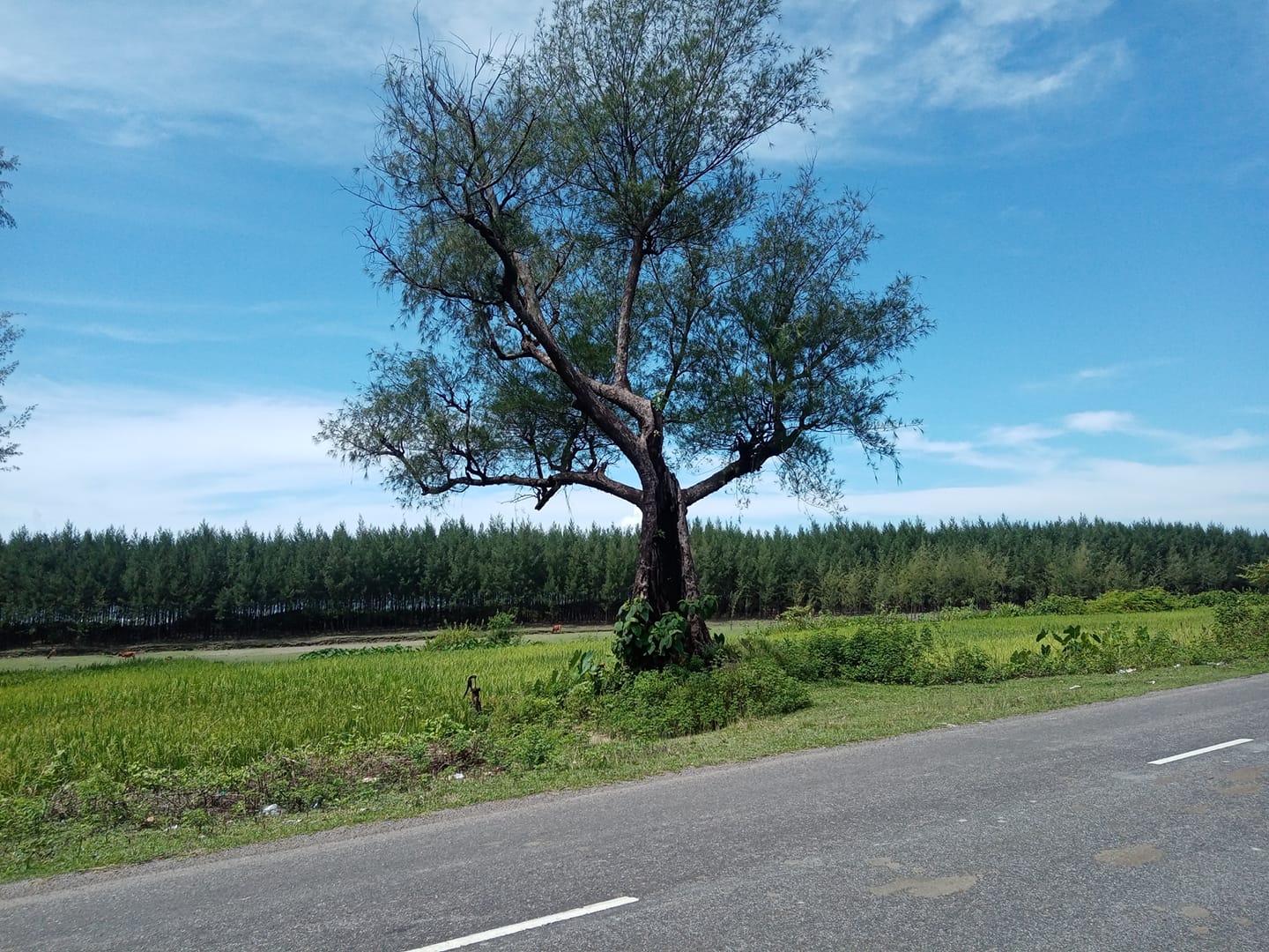 ফটোগ্যালারি