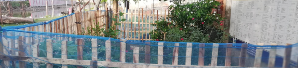 কার্যালয়ের প্রবেশ পথে সবুজায়ন শোভা বর্ধন