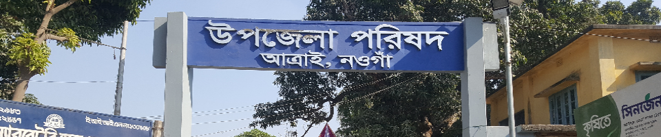 উপজেলা পরিষদ