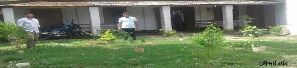 সৌন্দর্য্য বর্ধন