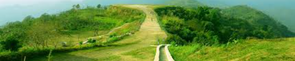 ব্যানার ৫