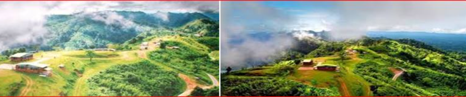 ব্যানার ৮