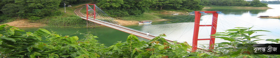 ঝুলন্ত ব্রীজ