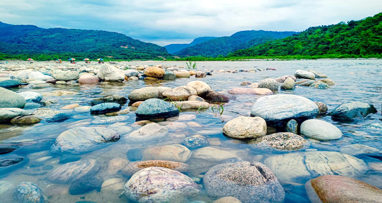 উপজেলা সমাজ সেবা অফিস
