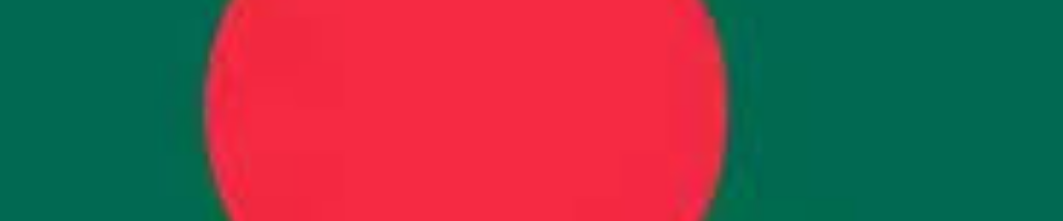 জাতীয় পতাকা