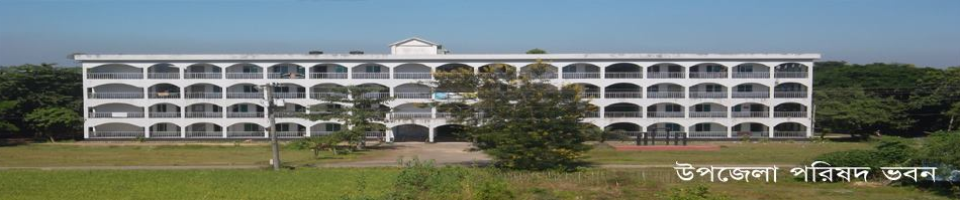 ফুলগাজী উপজেলা পরিষদ