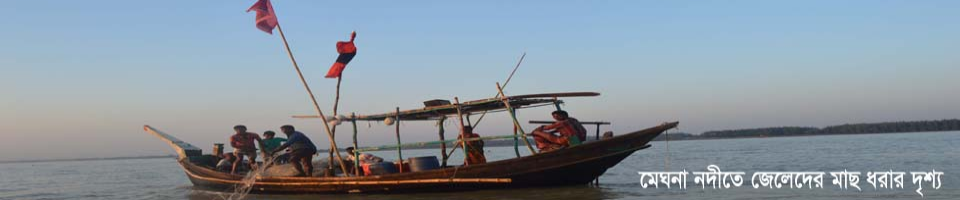 মেঘনা নদীতে জেলেদের মাছ ধরার দৃশ্য