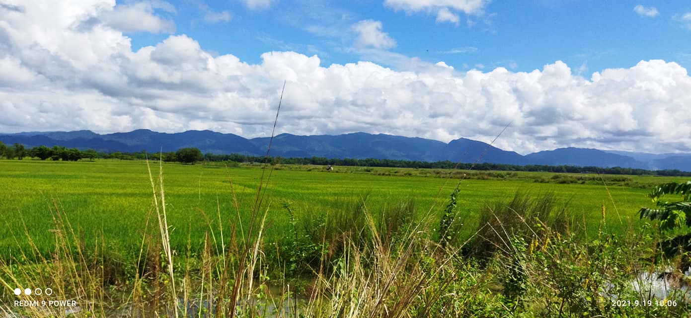 প্রাকৃতিক সৌন্দর্য