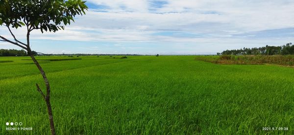 natural beauty of sylhet