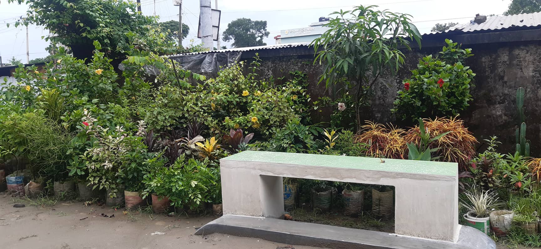 উপজেলা সমাজসেবা কার্যালয়, কটিয়াদী, কিশোরগঞ্জ