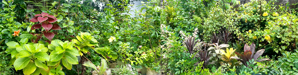 উপজেলা সমাজসেবা কার্যালয়, কটিয়াদী, কিশোরগঞ্জ