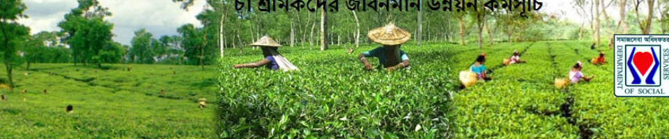 চা শ্রমিকদের জীবনমান উন্নয়ন কমূসূচি