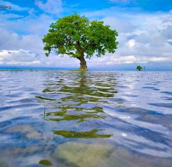 নিকলী হাওয়ার