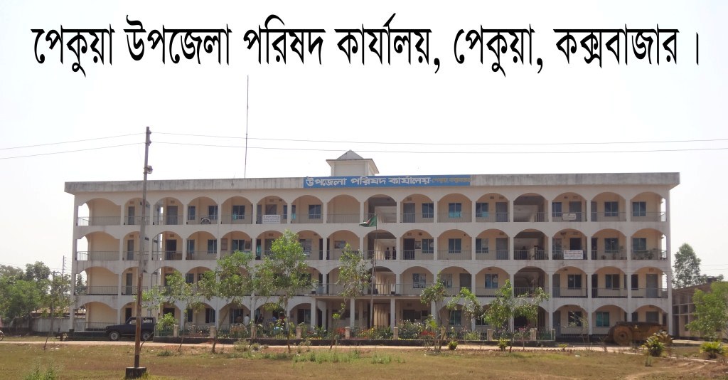 dss_new_final%20%281%29