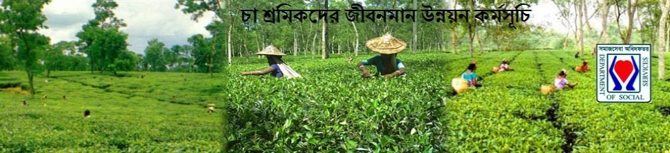 চা শ্রমিকদের জীবনমান উন্নয়ন কর্মসূচি