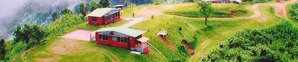 নীলগিরি