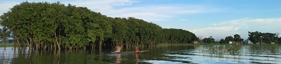 টাঙ্গুয়ার হাওর