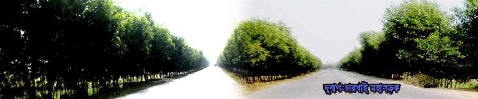 দুবাগ চারখাই মহা সড়ক