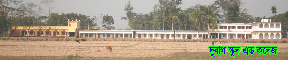 দুবাগ স্কুল এন্ড কলেজ