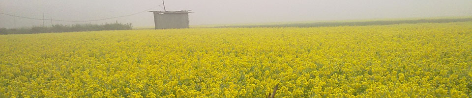 প্রকৃতি