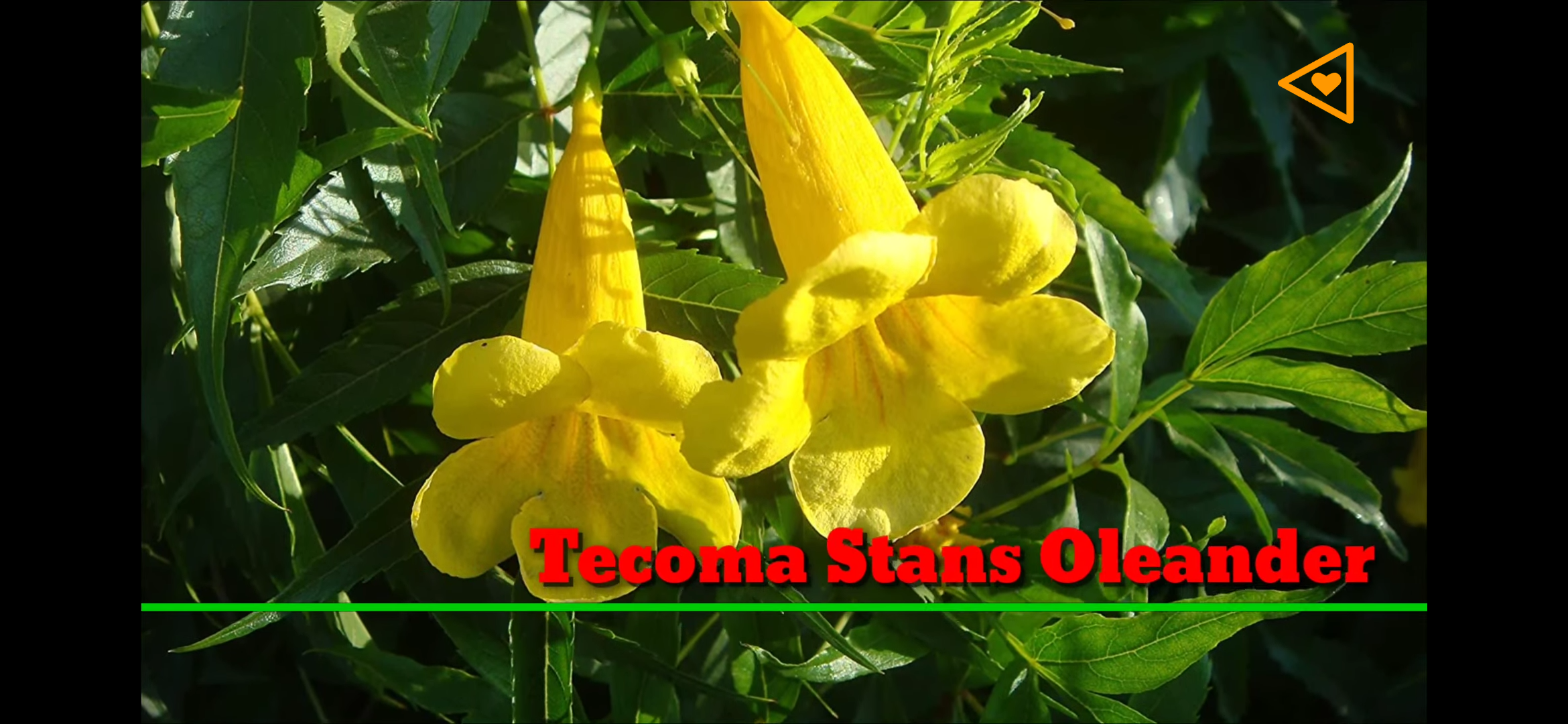 ইউনিয়ন ম্যাপ