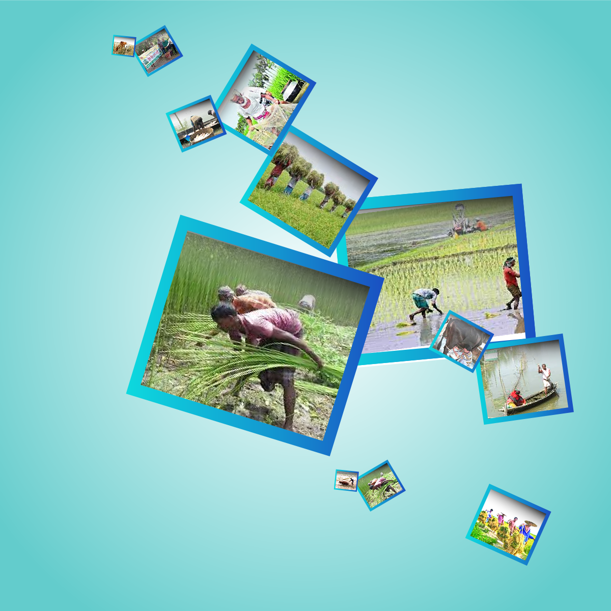 কৃষি ও প্রানী সম্পদ