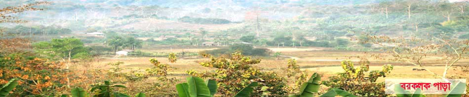 বরকলক পাড়া