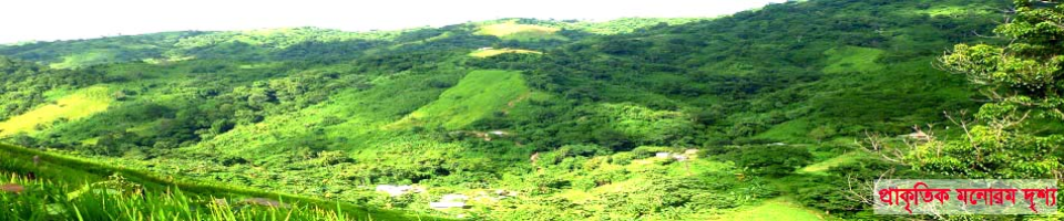 প্রাকৃতিক সৈন্দর্য্য