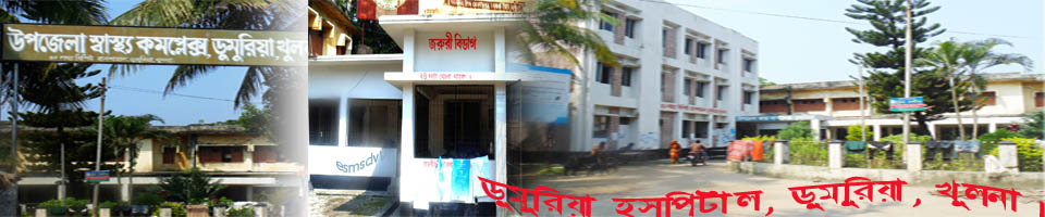 ডুমুরিয়া হসপিটাল