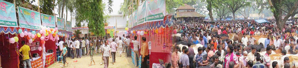 দুপচাঁচিয়া উপজেলার ঐতিহ্যে বাহী ধাপের হাট এবং ডিজিটাল মেলা ২০১৪ ।