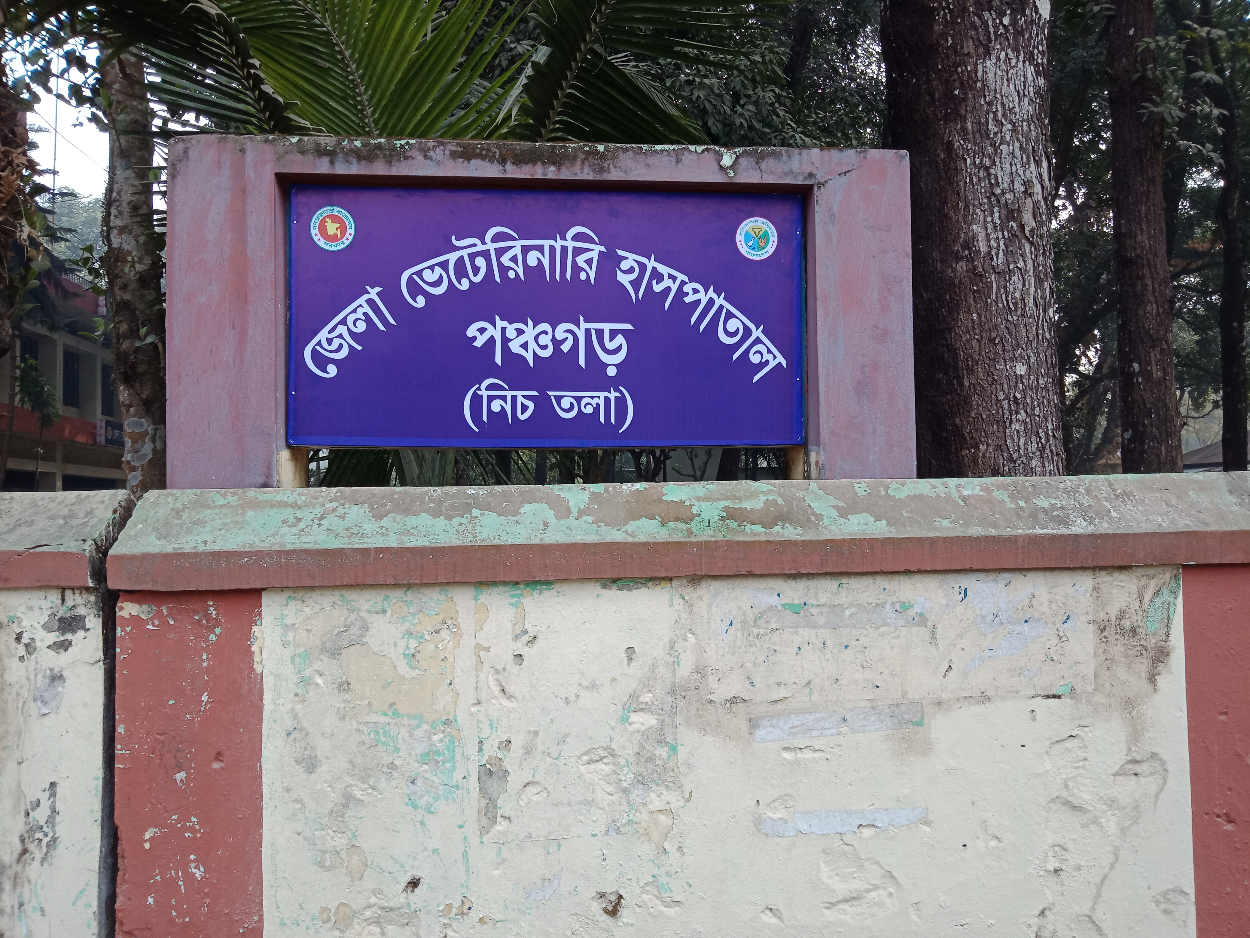 জেলা ভেটেরিনারি হাসপাতাল, পঞ্চগড়