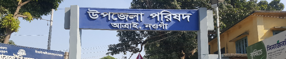 উপজেলা পরিষদ